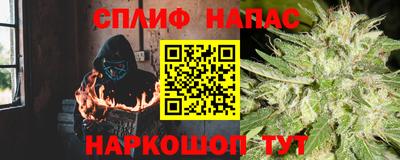 гидра Краснознаменск