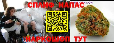 гидра Краснознаменск