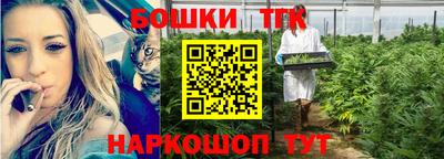 гидра Краснознаменск