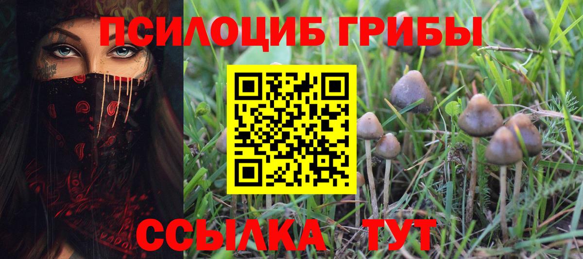 Галлюциногенные грибы Cubensis  где купить наркоту  Кисловодск  Вход с VPN 