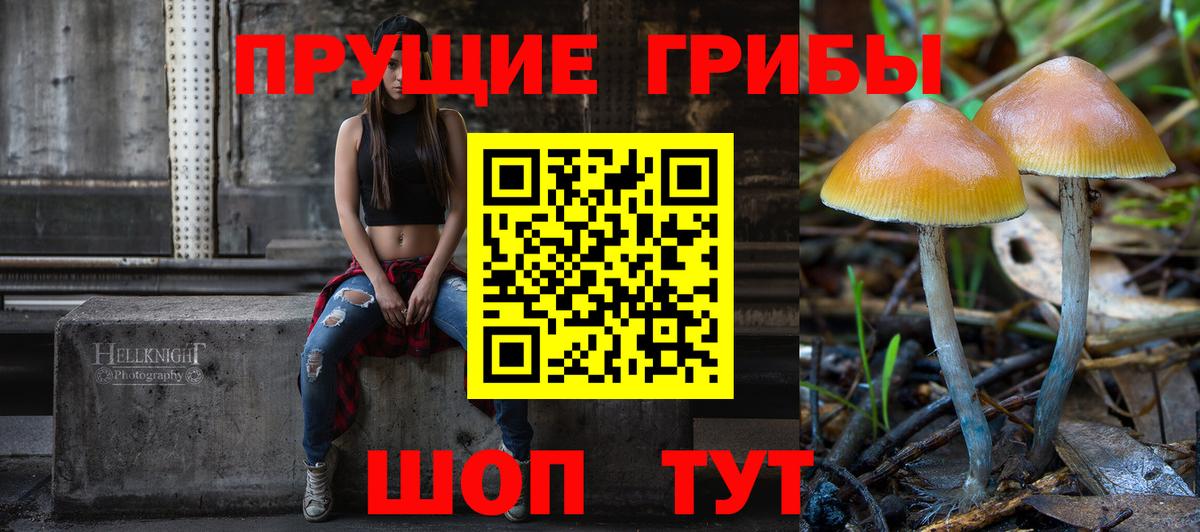 Галлюциногенные грибы GOLDEN TEACHER Кисловодск